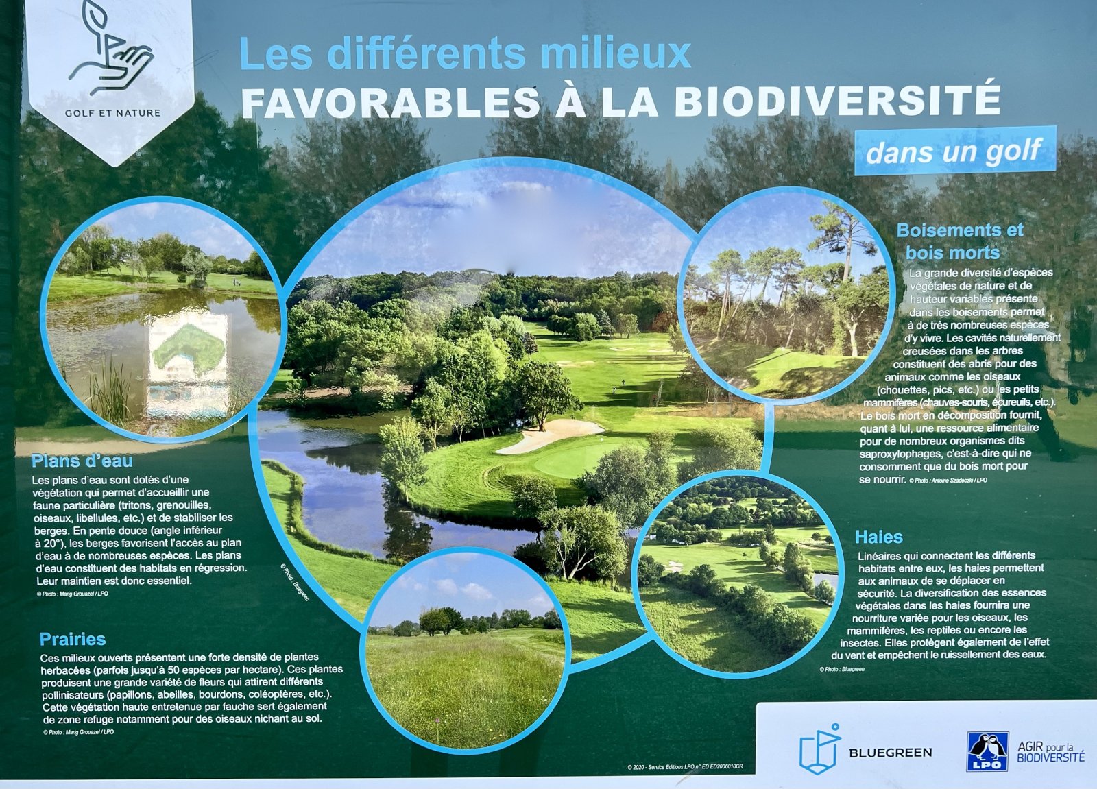 Golf Bluegreen saint Quentin en Yvelines - Panorama du parcours de golf