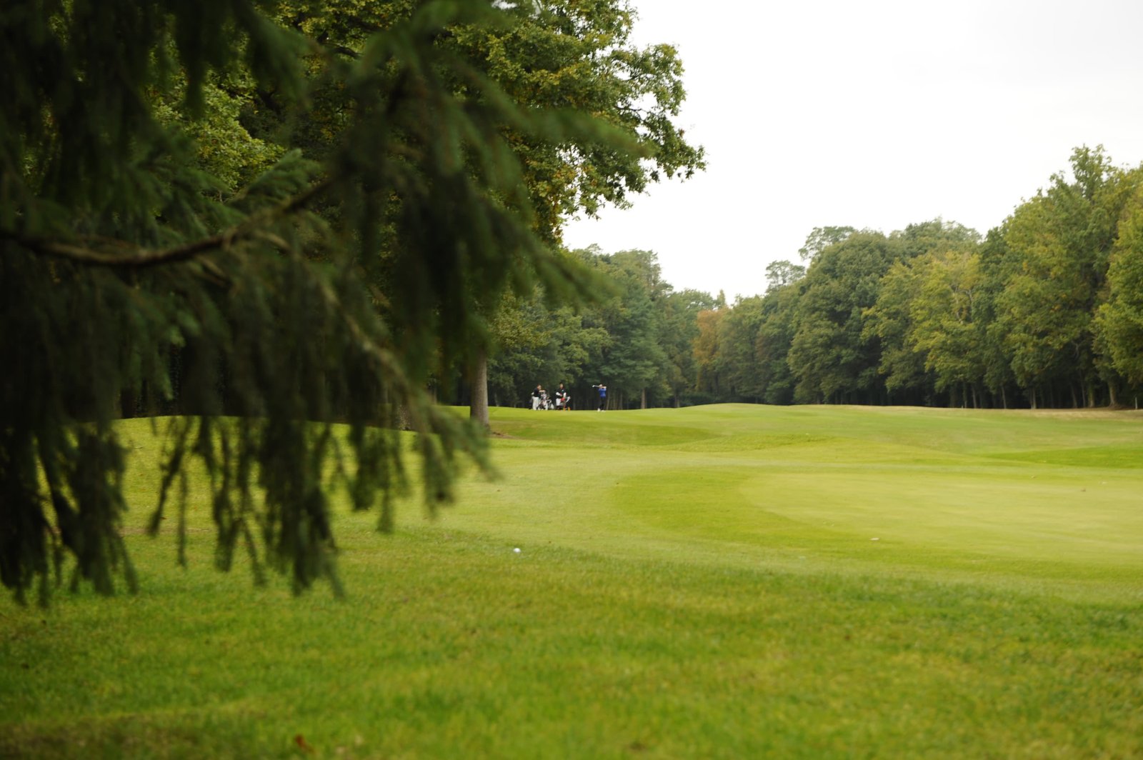 Golf du Lys Chantilly - Club house et installations