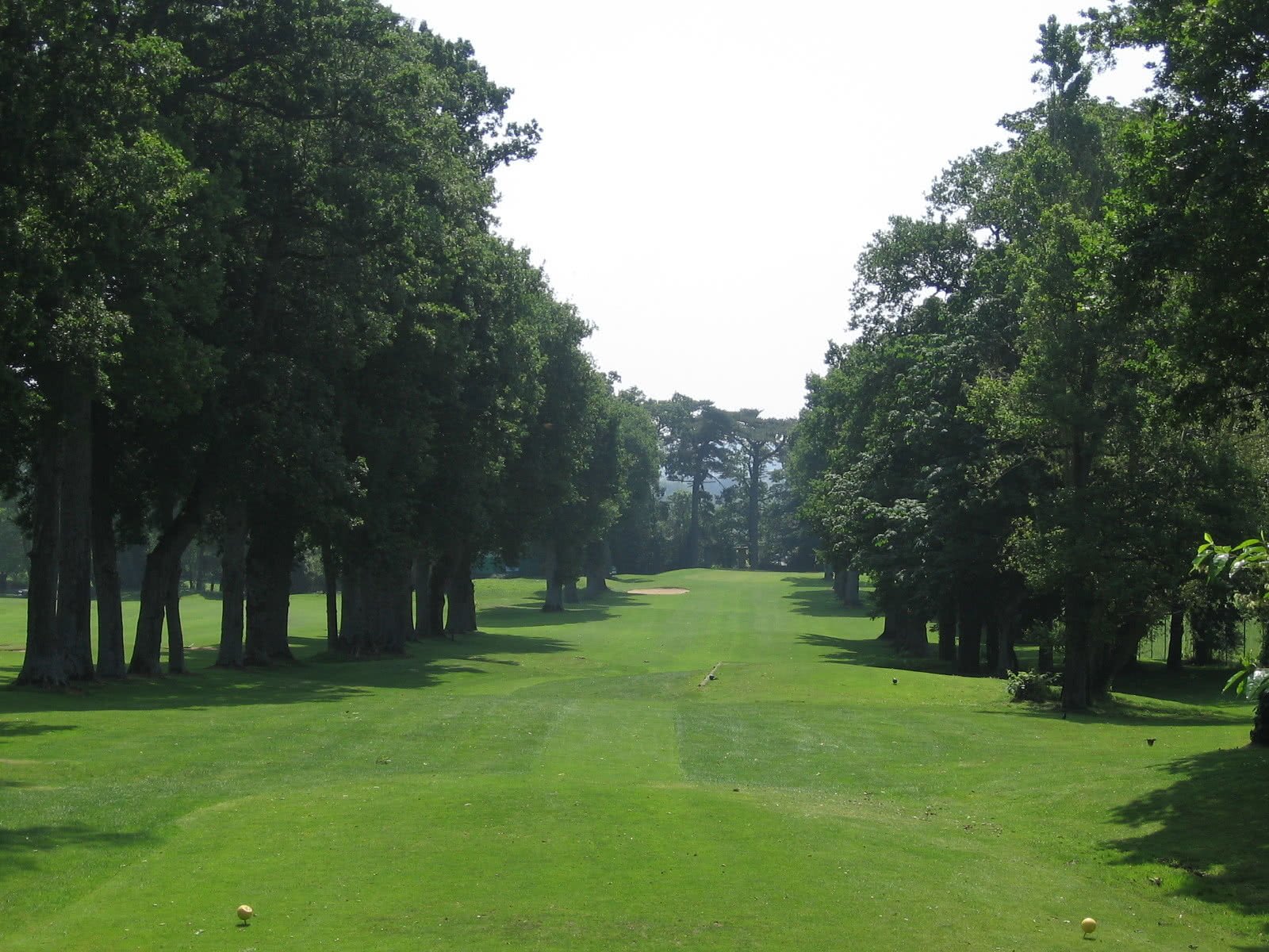 Golf de la Criniere - Green et bunkers