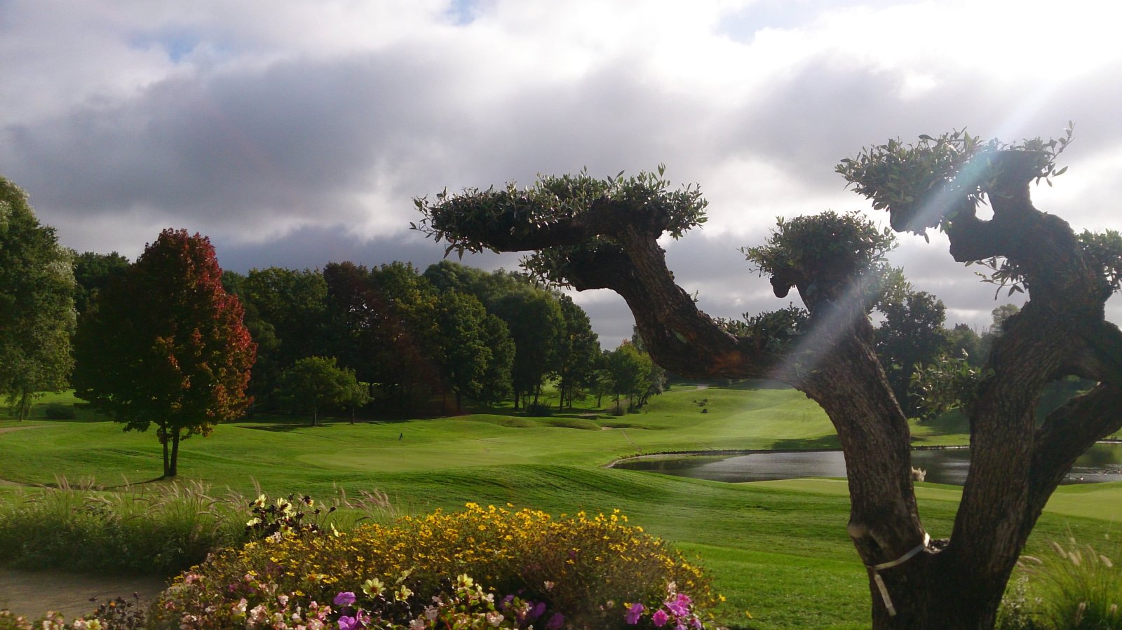 UGolf Feucherolles - Green et bunkers