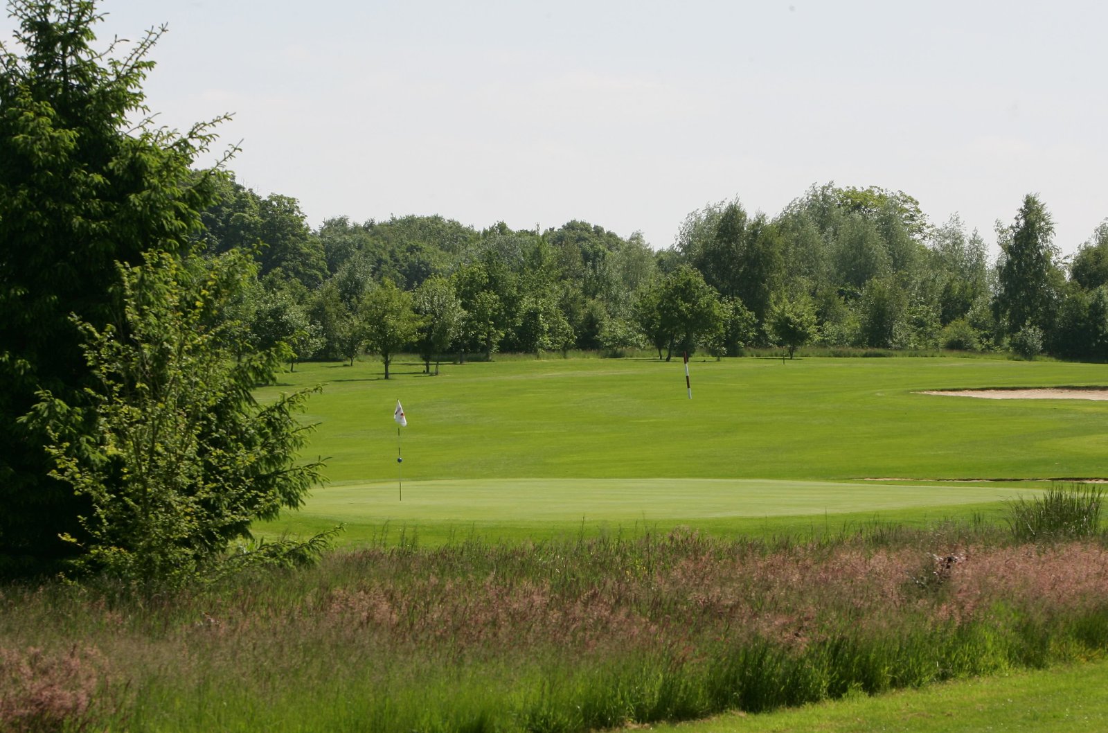 UGolf Rouen Forêt Verte - Green et bunkers