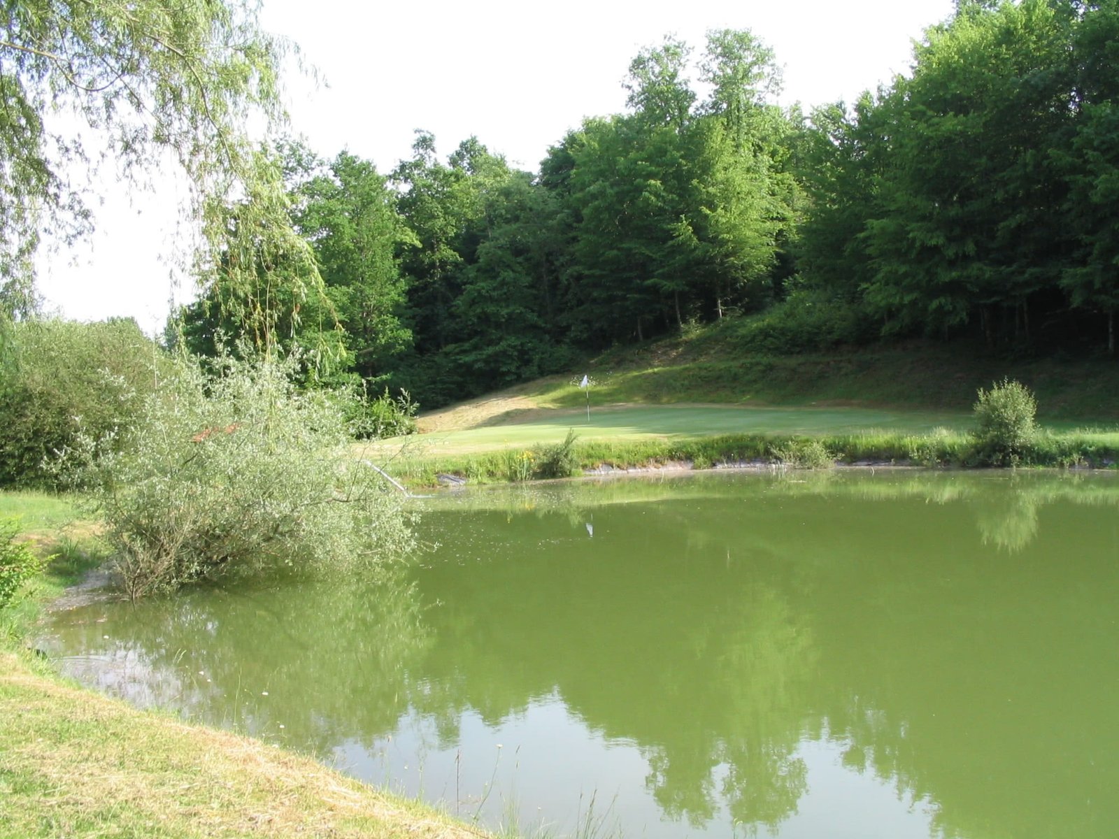 Golf Hôtel Château les Merles - Green et bunkers