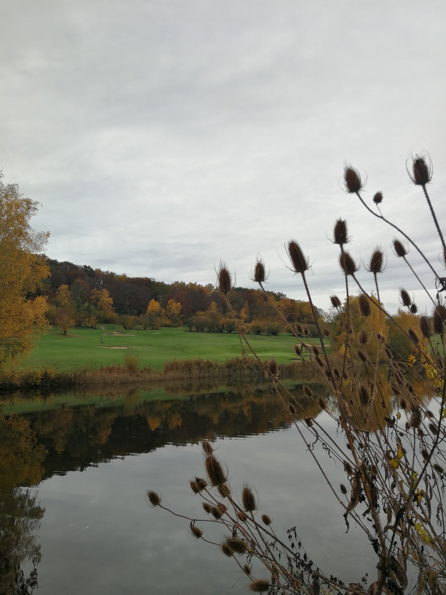 Golf Club d’Ableiges - Panorama du parcours de golf