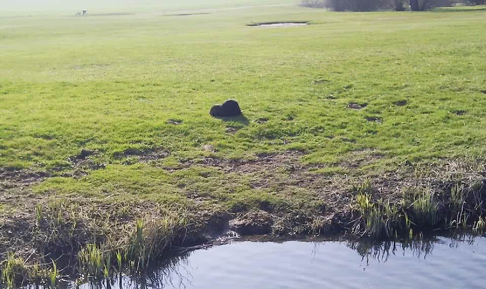 Golf Golf de Toul Avrainville