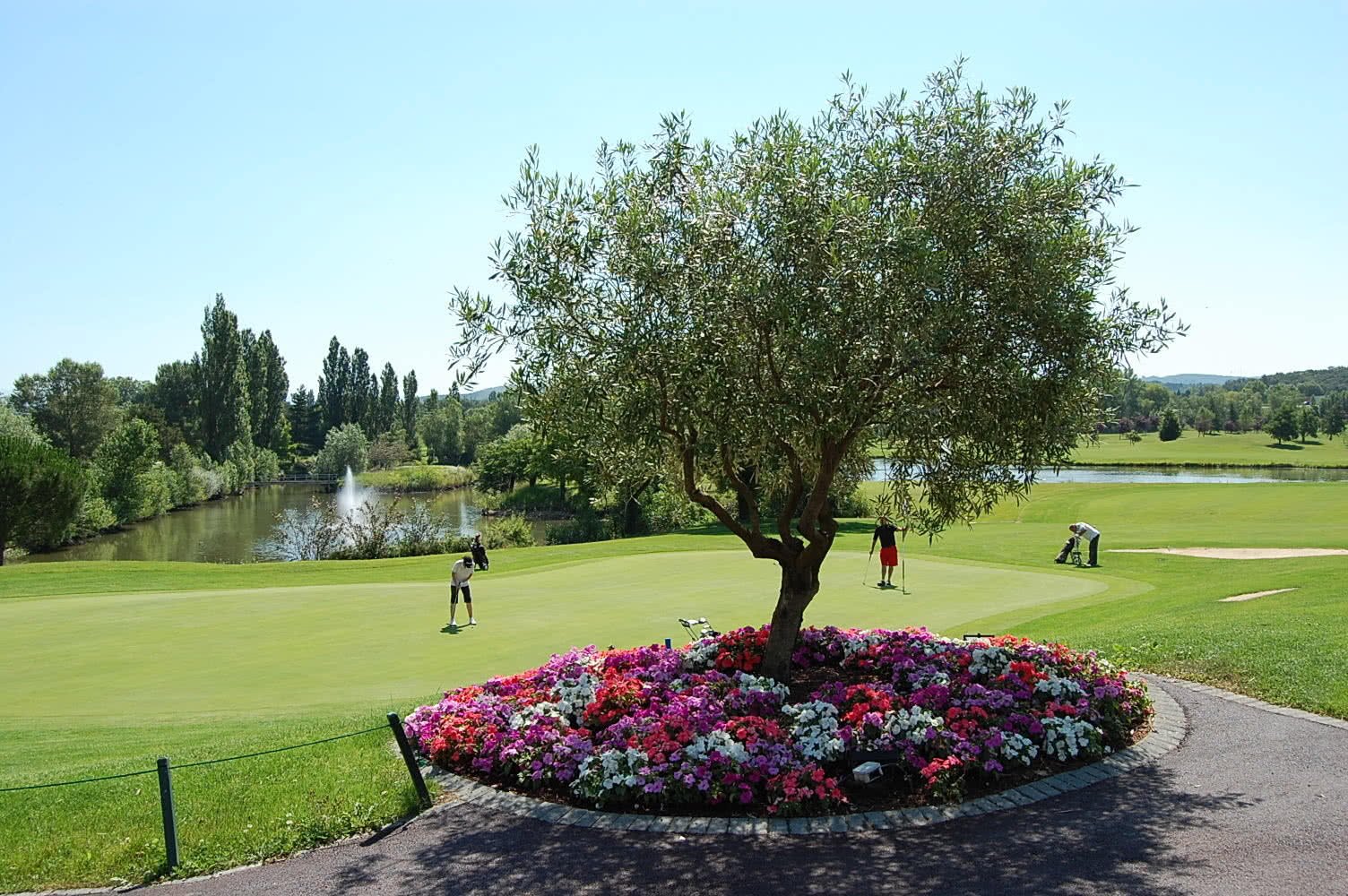 Golf Club de la Valdaine - Green et bunkers