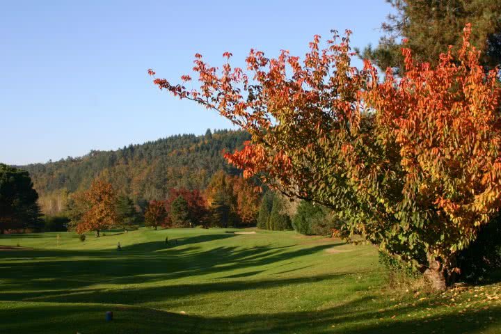 Golf Club de la Barouge 1956 - Green et bunkers