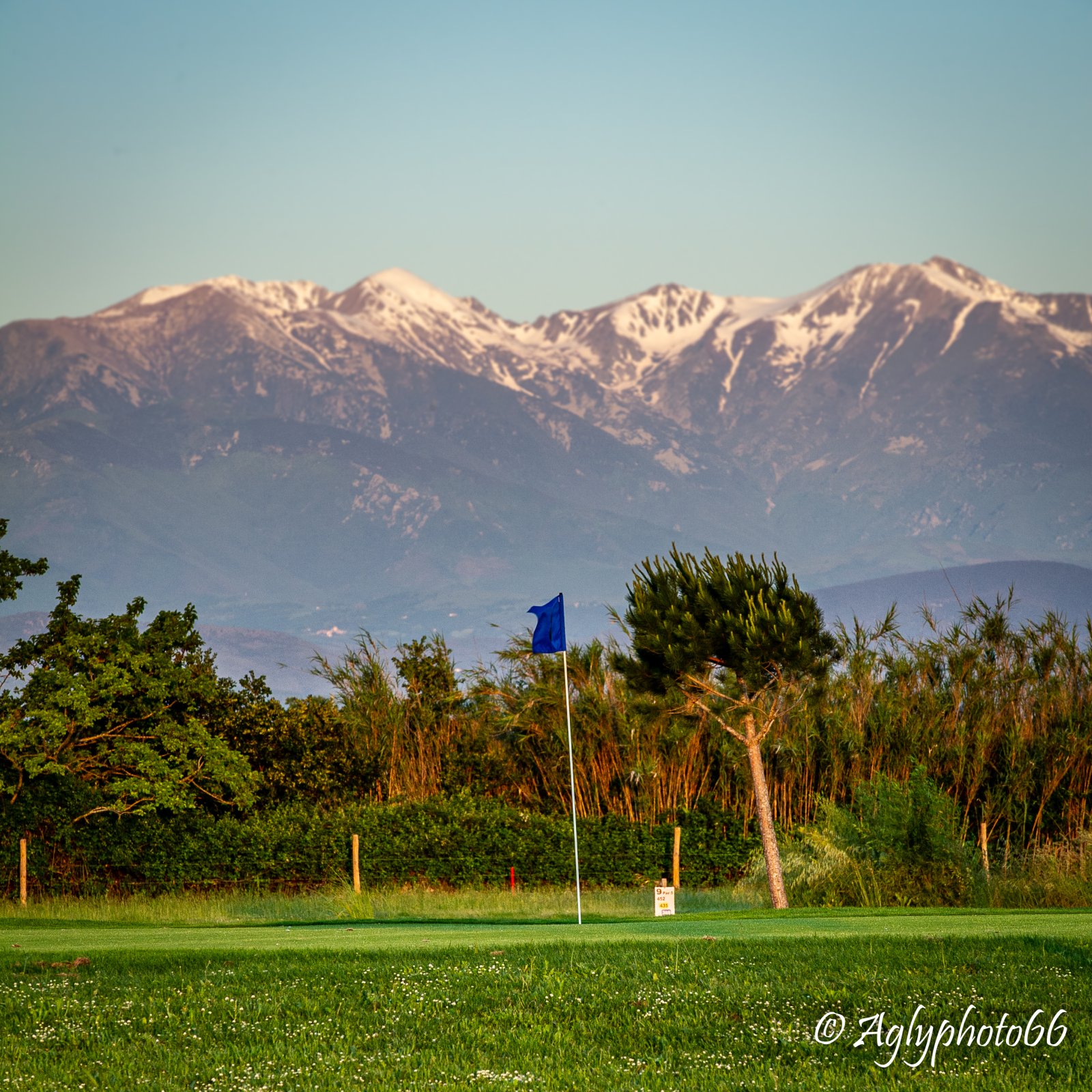 Golf Club de Montescot - Fairway et green du parcours