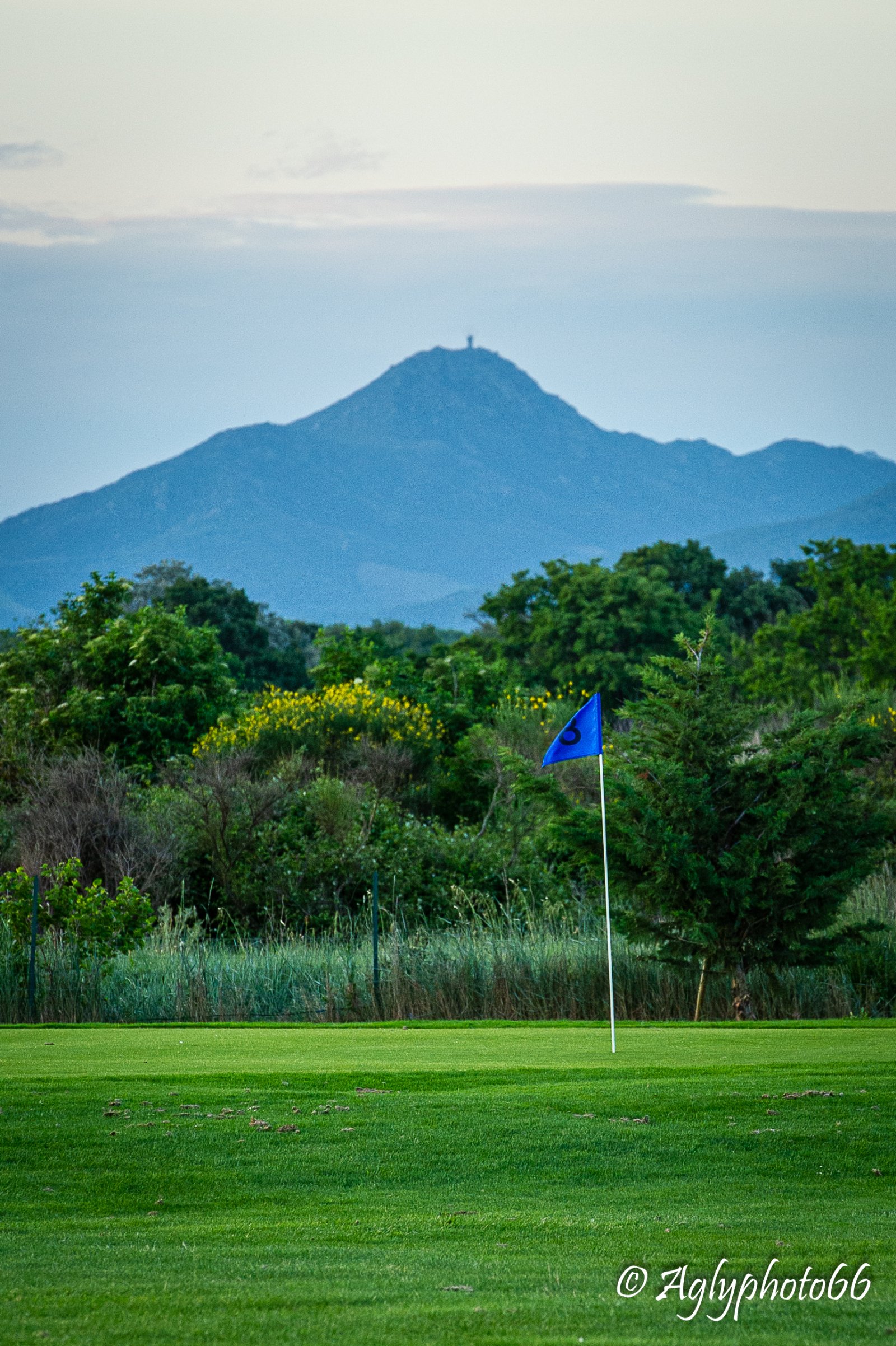 Golf Club de Montescot - Green et bunkers