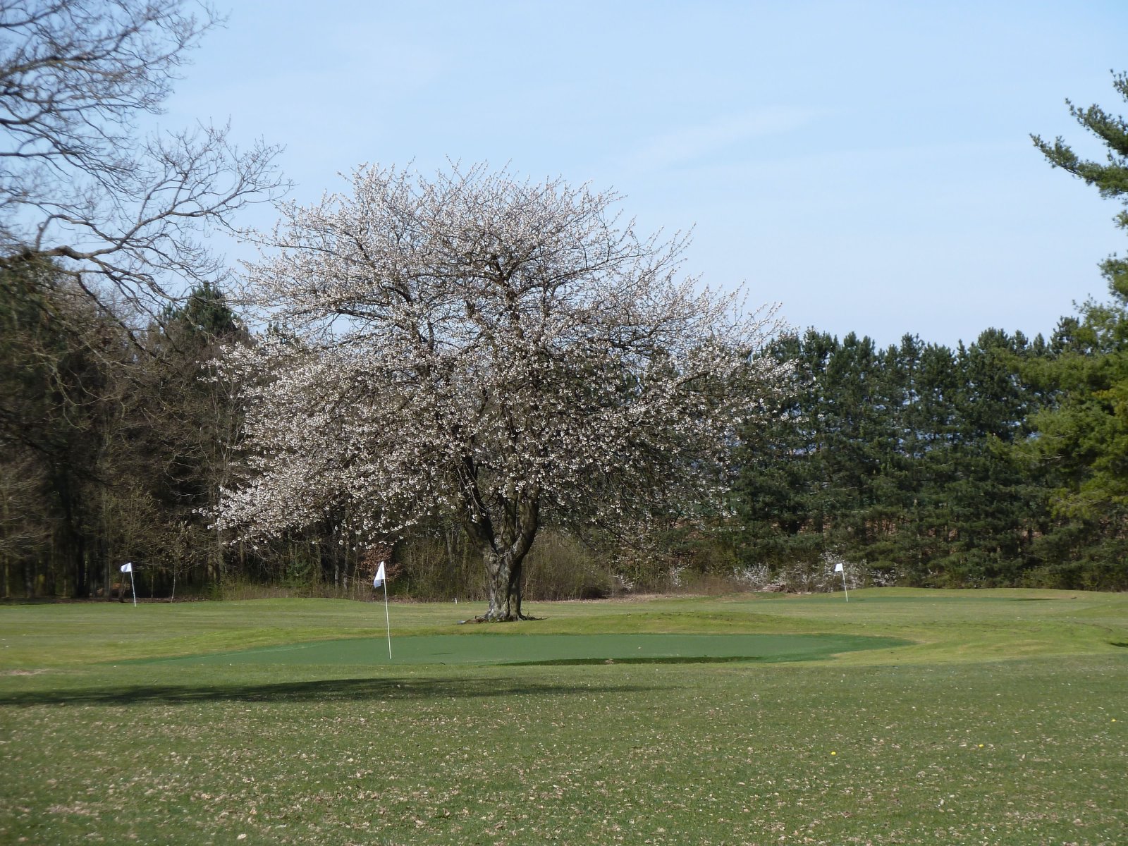 UGolf Nancy Aingeray - Club house et installations
