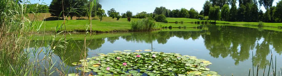 Golf Club de Strasbourg - Fairway et green du parcours