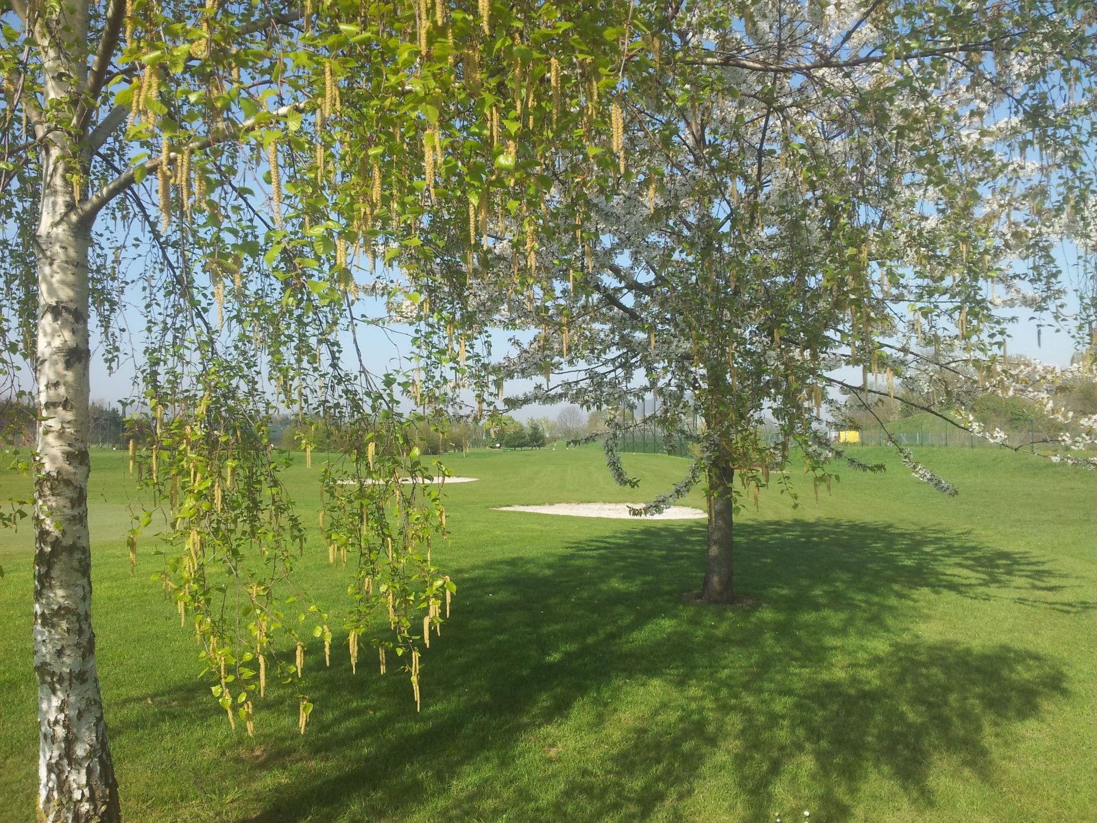 Golf Golf Club de Thiais