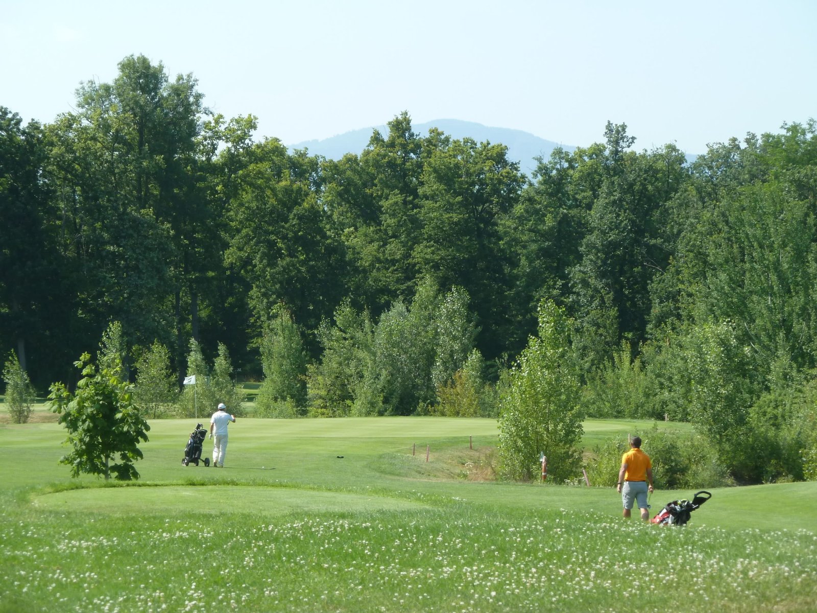 Golf Club des Bouleaux - Green et bunkers