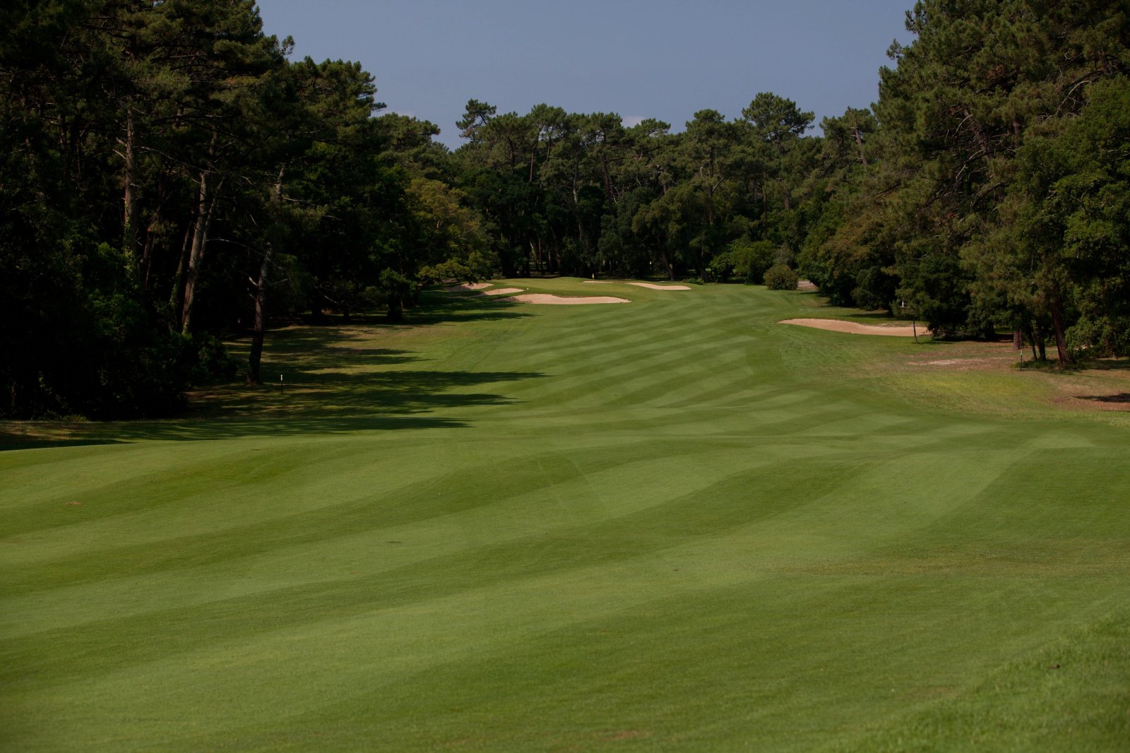 Golf Club d’Hossegor - Green et bunkers