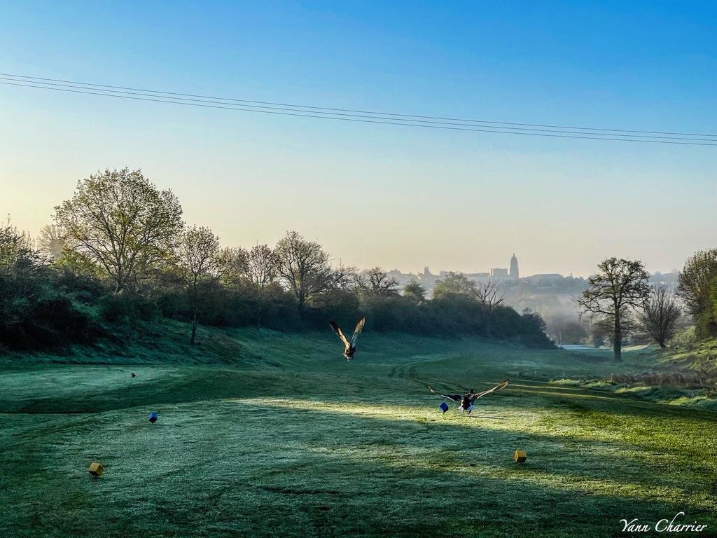 Golf de Bressuire - Green et bunkers