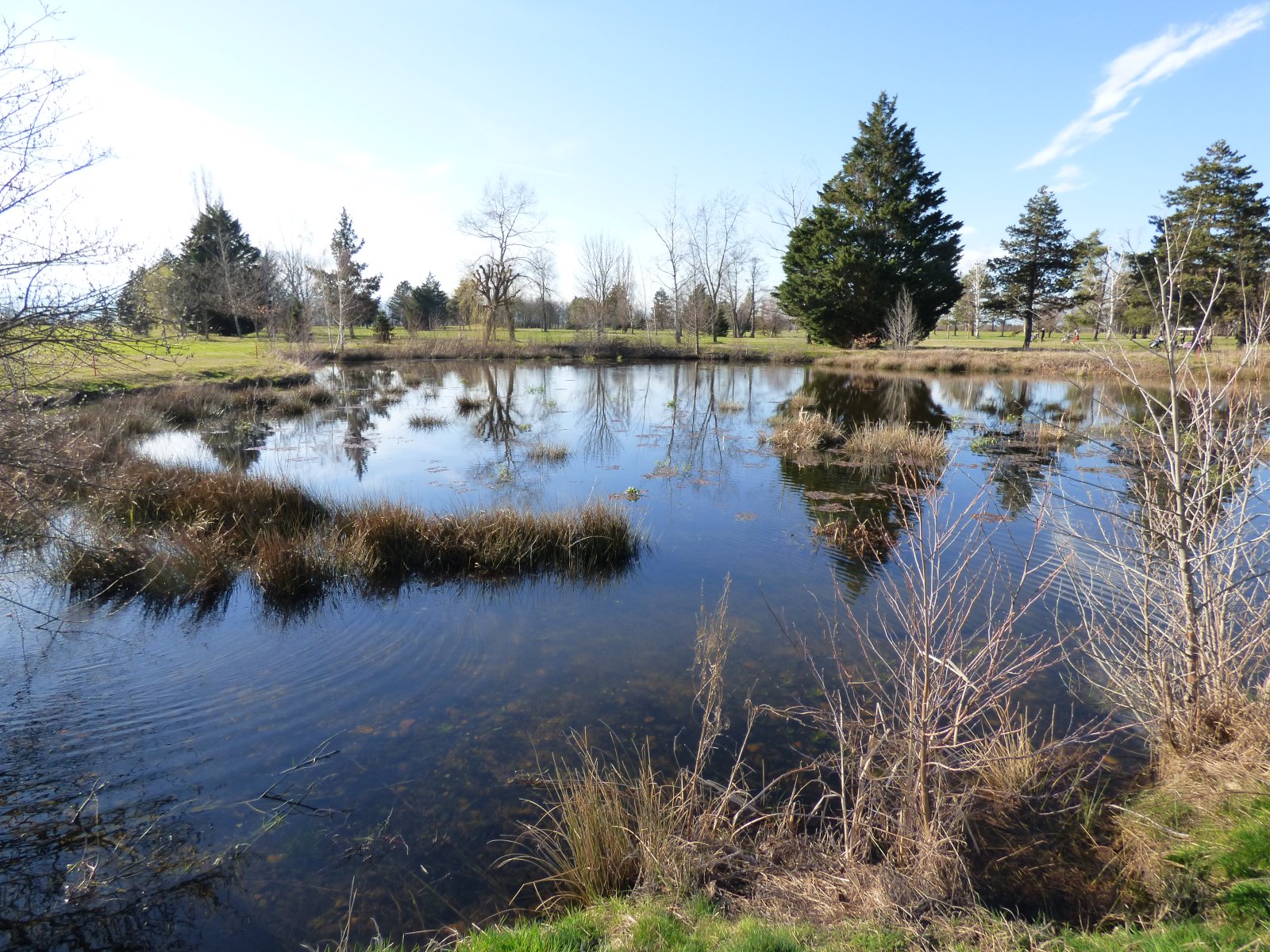 Golf Club du Forez - Panorama du parcours de golf