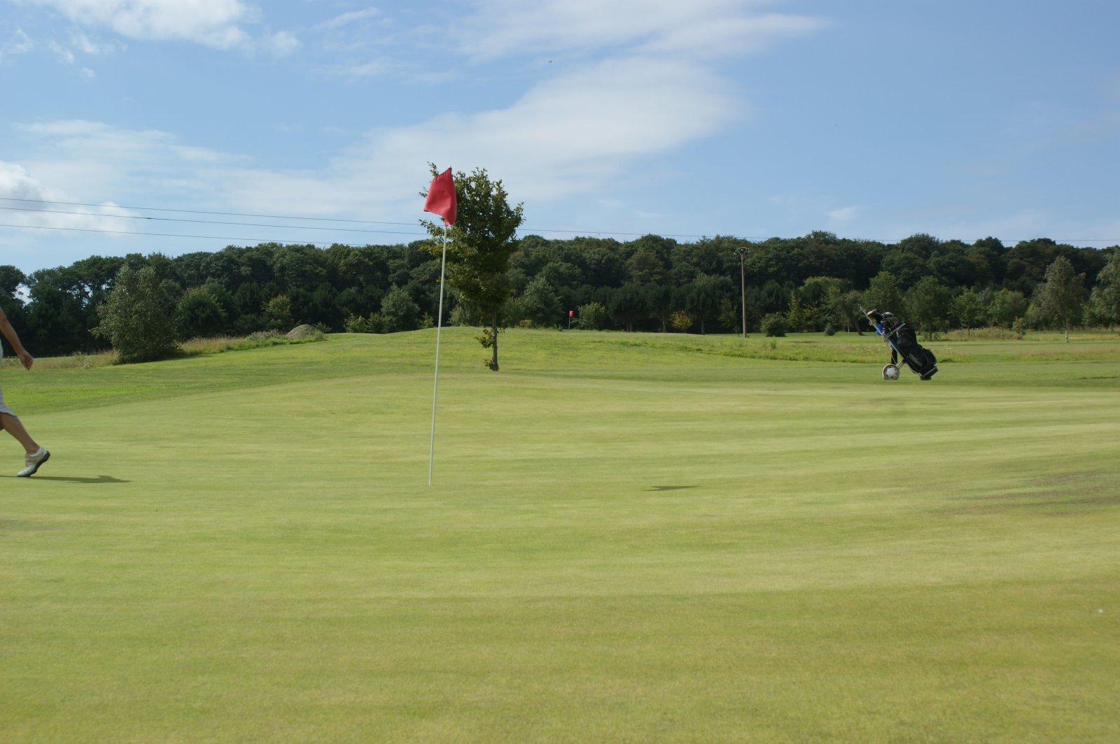 Cap Golf Club Bois de Ruminghem - Green et bunkers