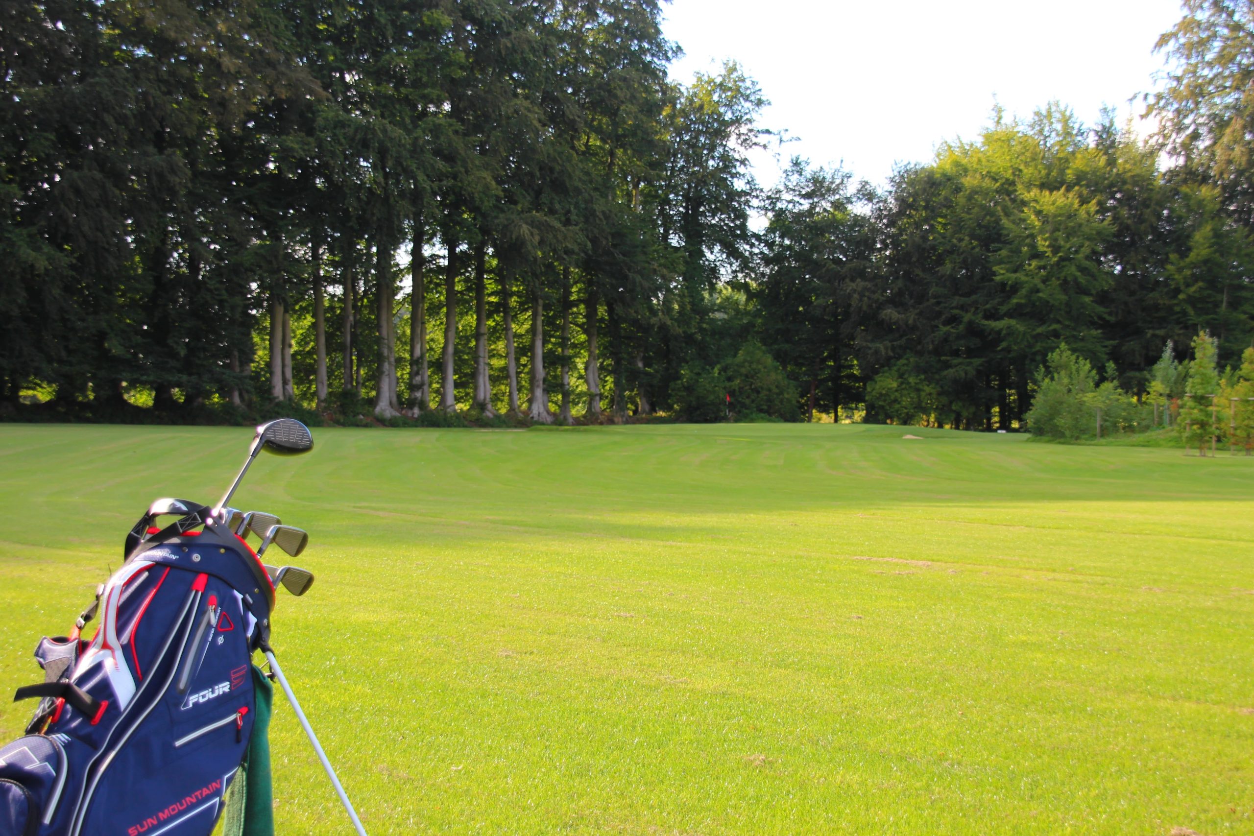 Golf d’Arnouville - Green et bunkers