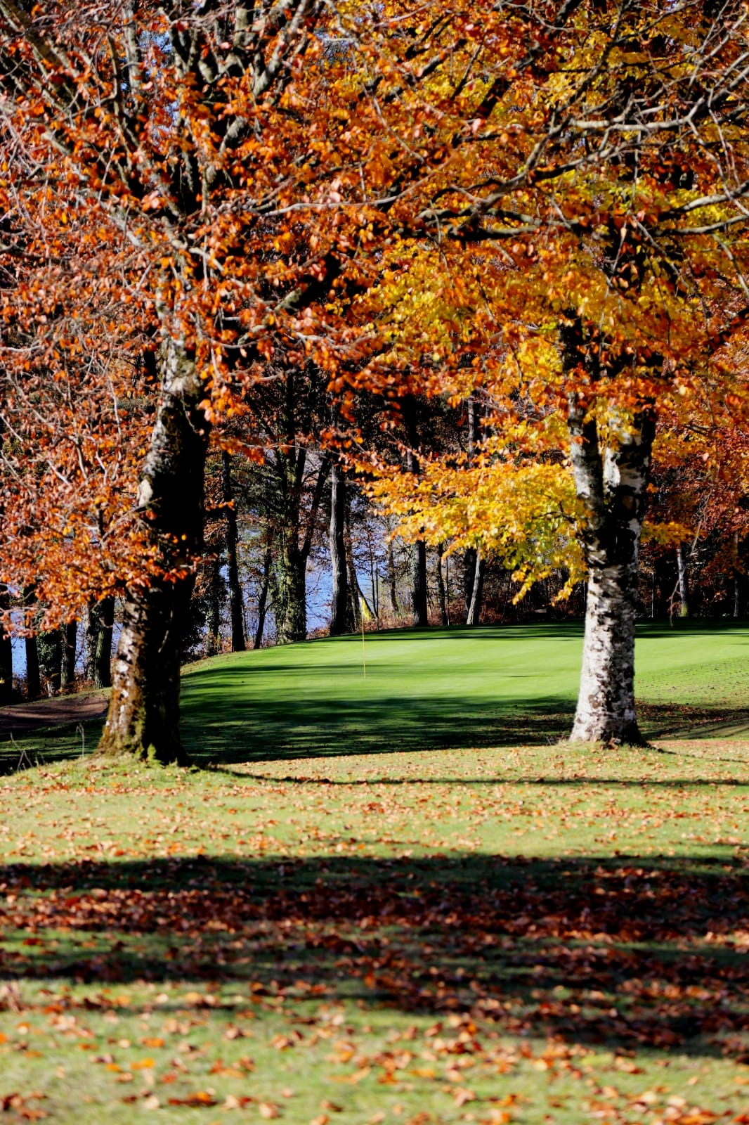 Golf d’Aubazine Correze - Panorama du parcours de golf
