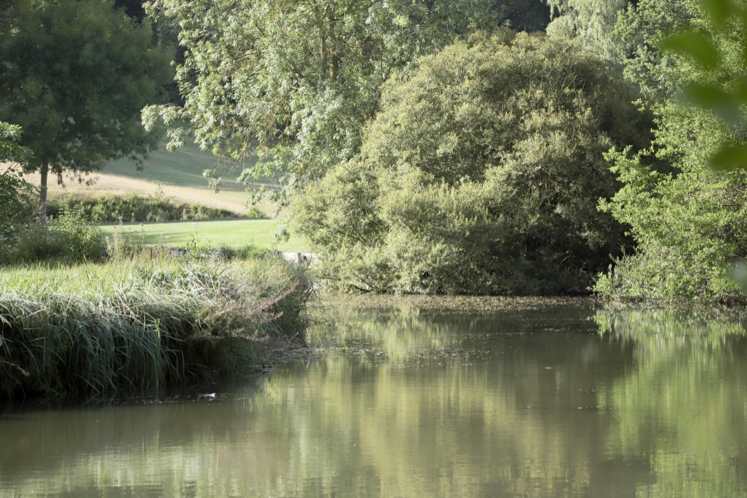Golf de Baugé Pontigné - Panorama du parcours de golf
