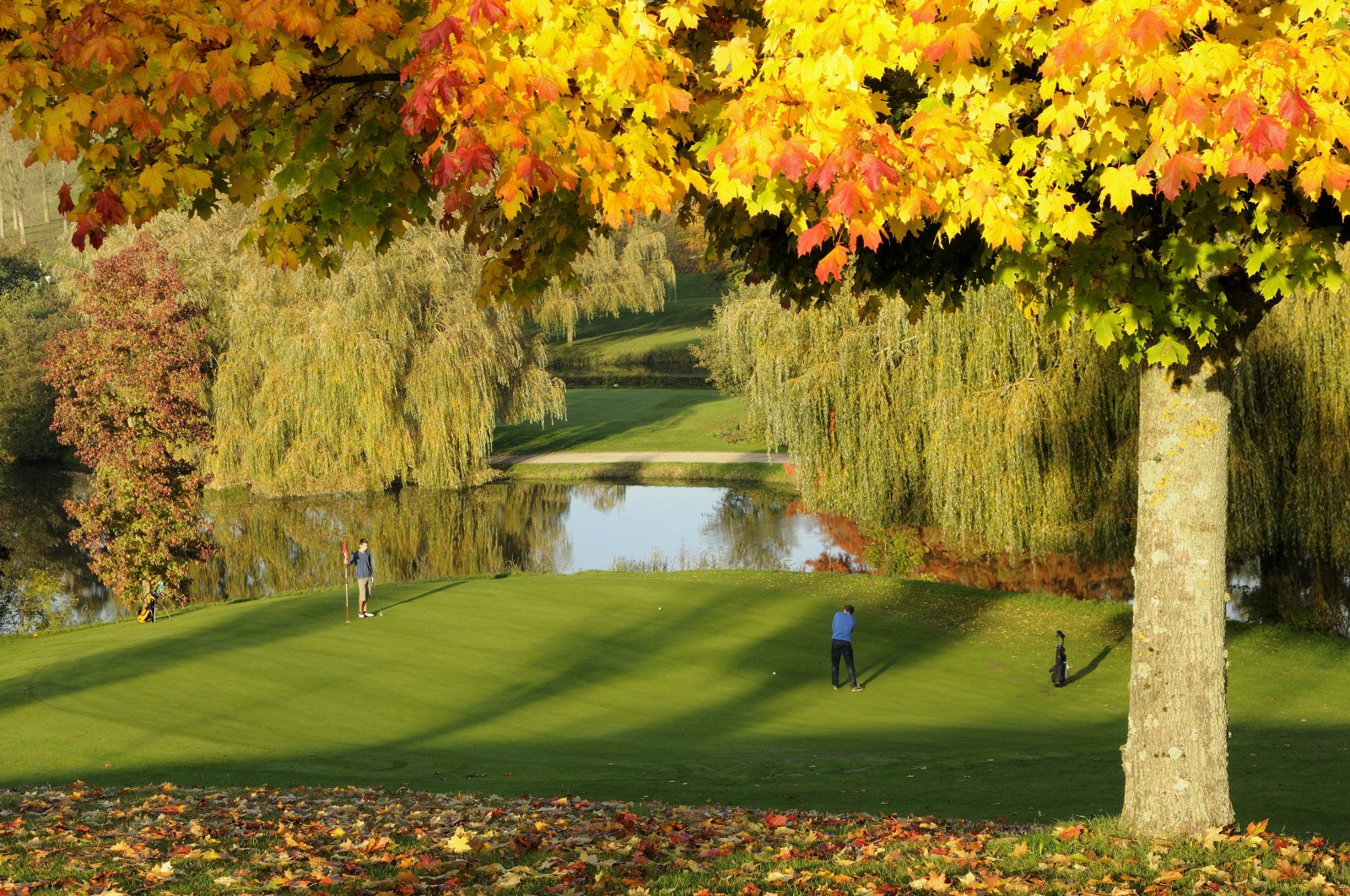 Golf de Belleme saint Martin - Green et bunkers