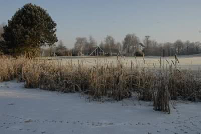 Golf de Brigode - Club house et installations