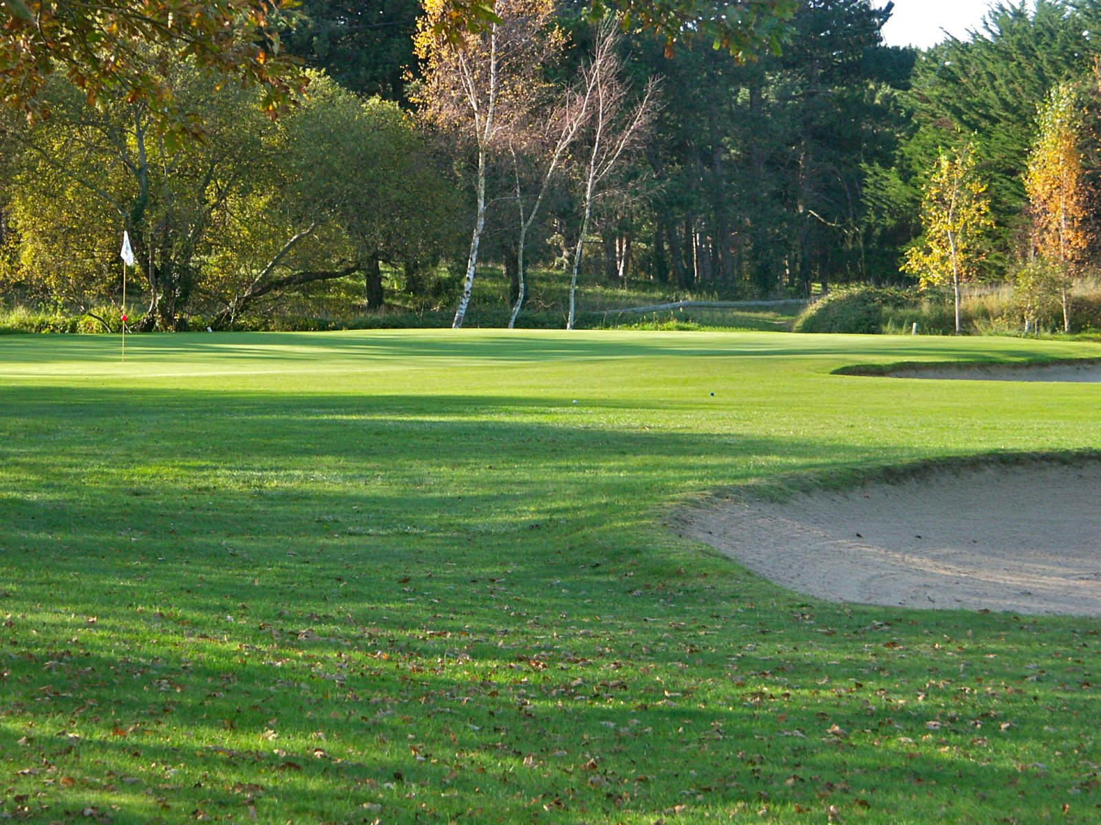 Golf de Coutainville - Green et bunkers