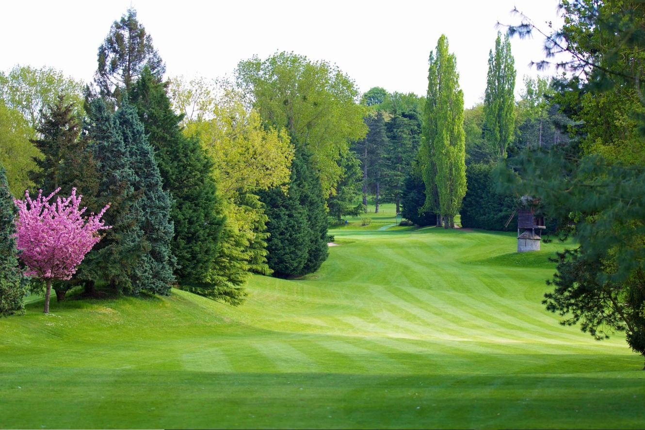 Golf et Country Club de Fourqueux - Fairway et green du parcours