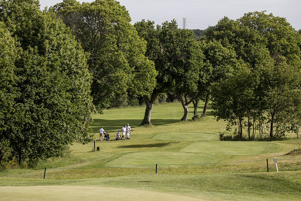 Golf de Guérande - Fairway et green du parcours