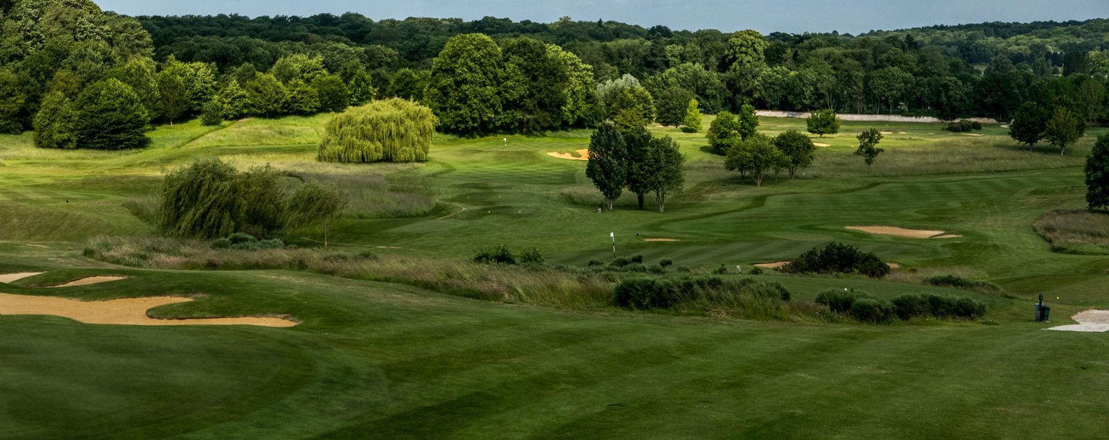 Golf de Joyenval - Fairway et green du parcours