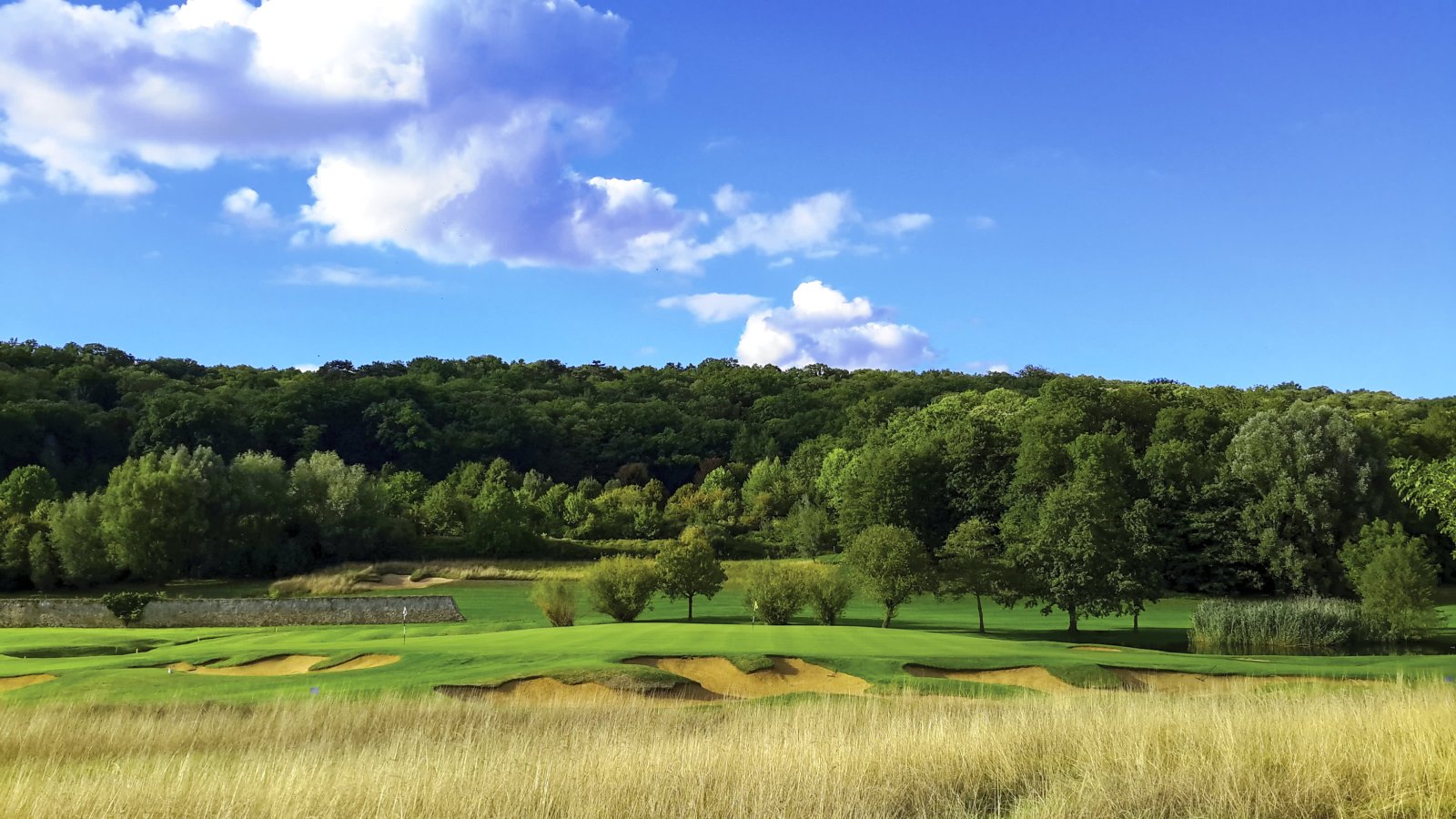 Golf de Joyenval - Green et bunkers