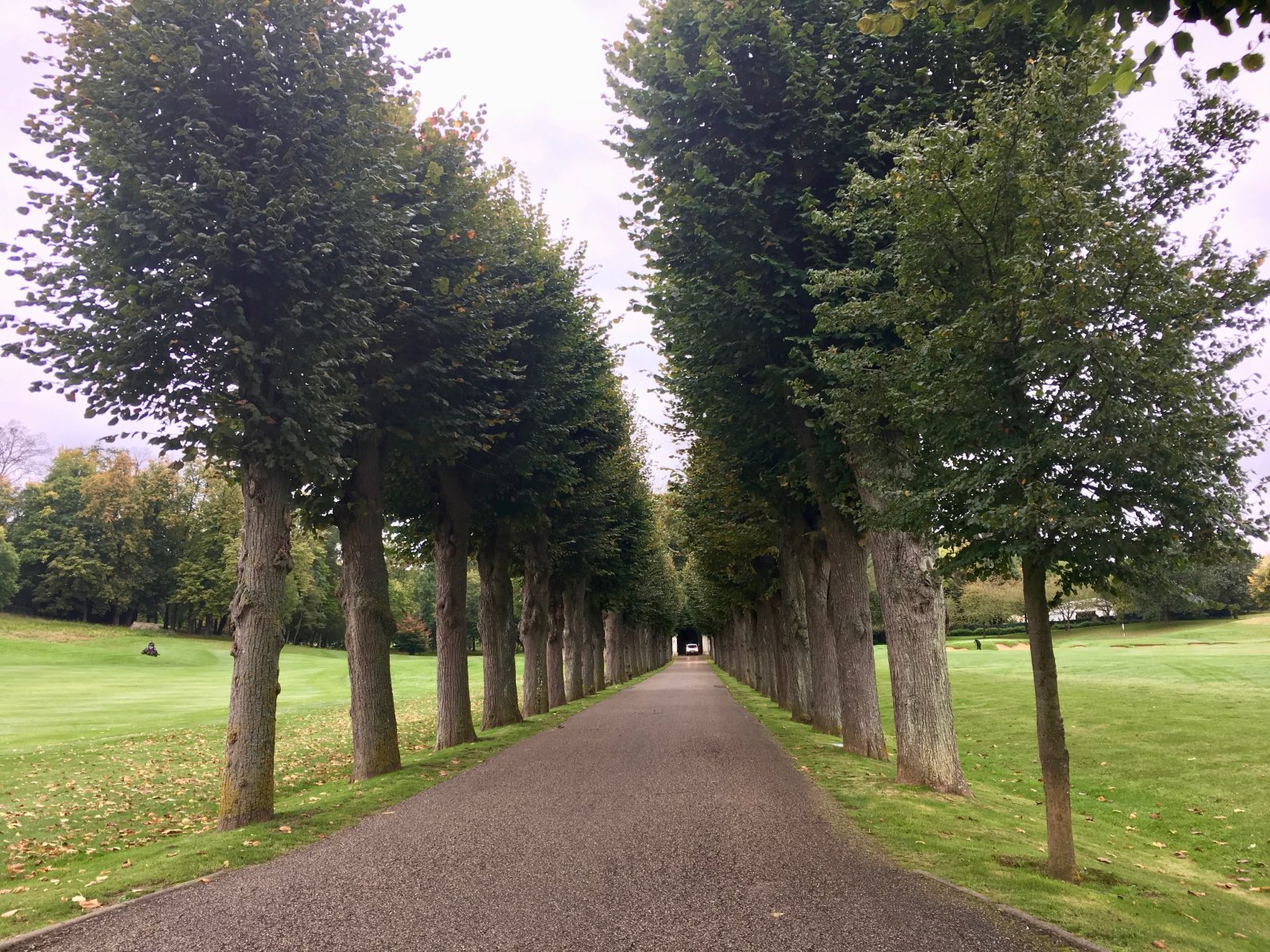 Golf de Joyenval - Panorama du parcours de golf
