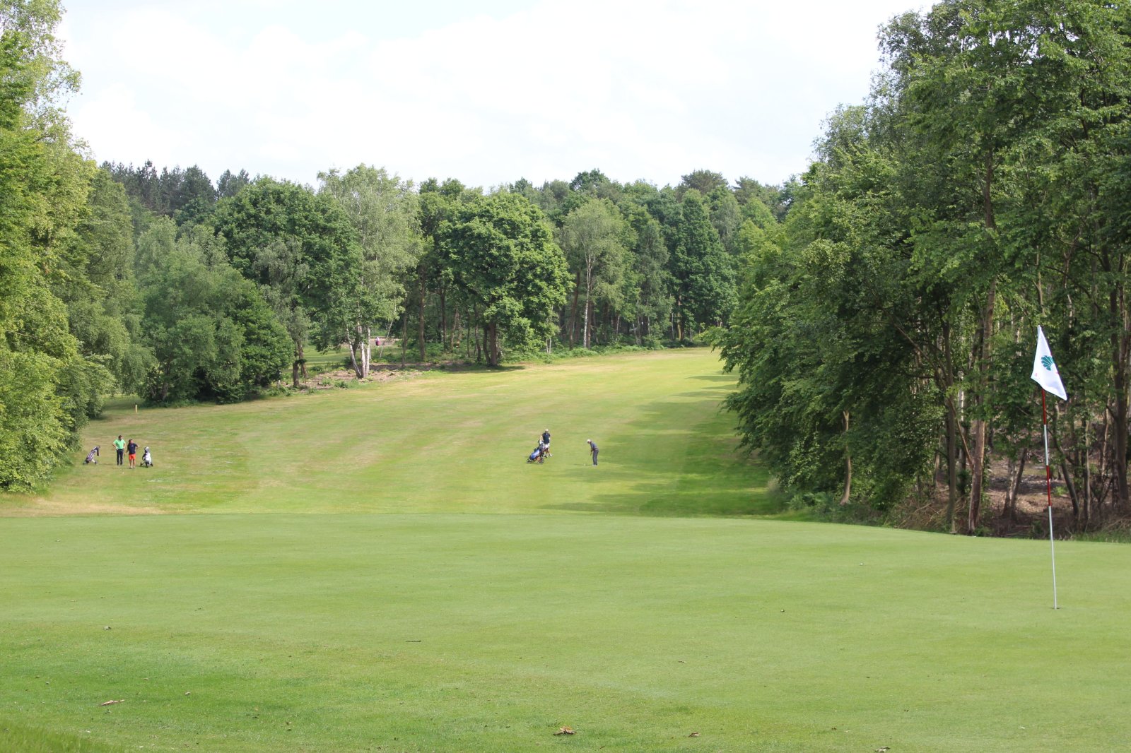 Golf de Jumièges - Green et bunkers