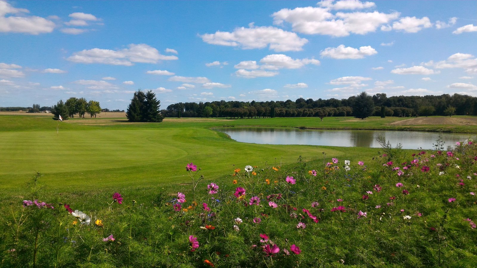 Golf de la Bosse - Fairway et green du parcours