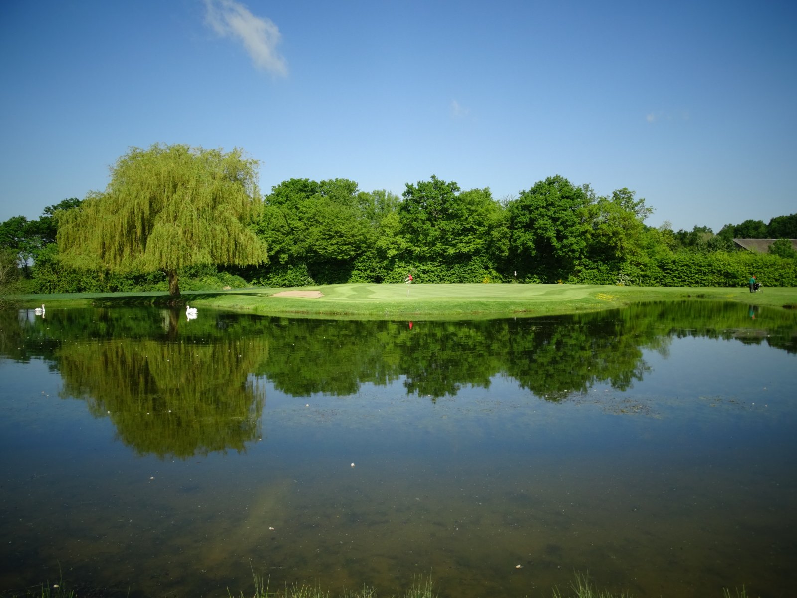 Golf de la Bosse - Green et bunkers