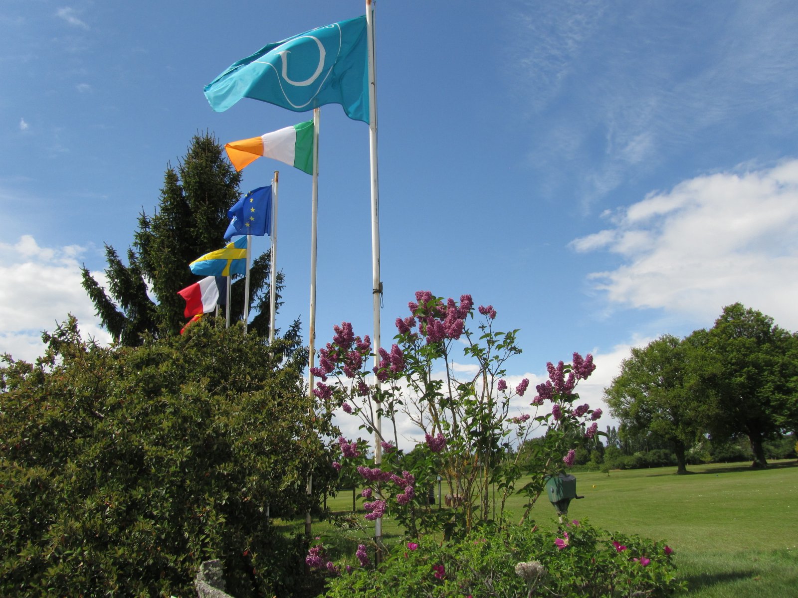 Golf de la Picardiere - Fairway et green du parcours