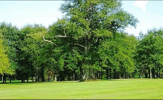 Golf de la Picardiere - Club house et installations