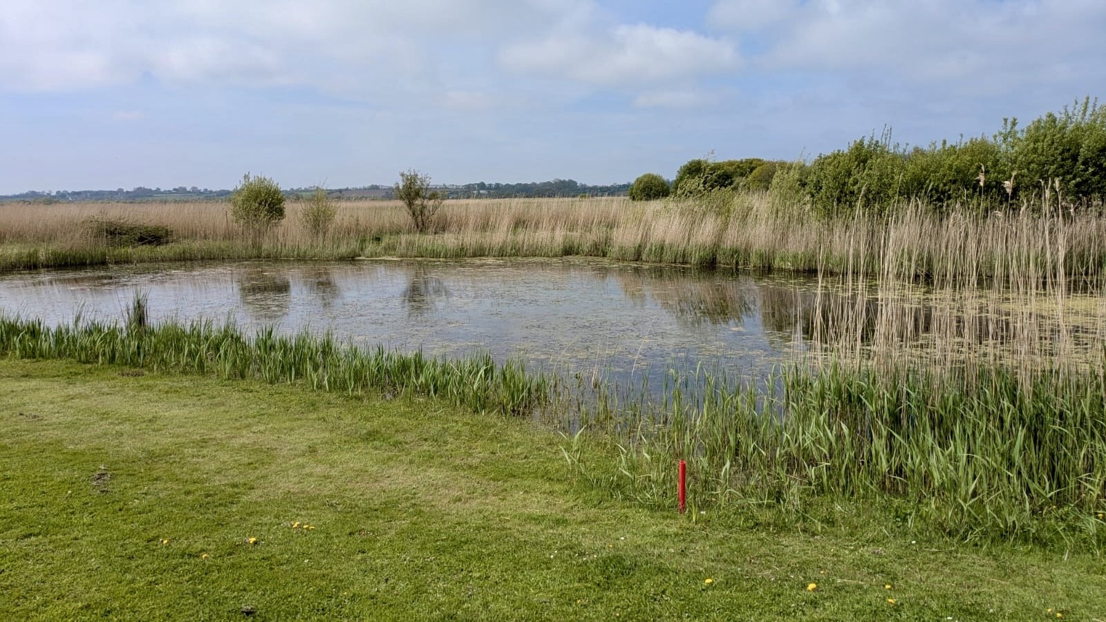 Golf Utah Beach Normandie - Fairway et green du parcours