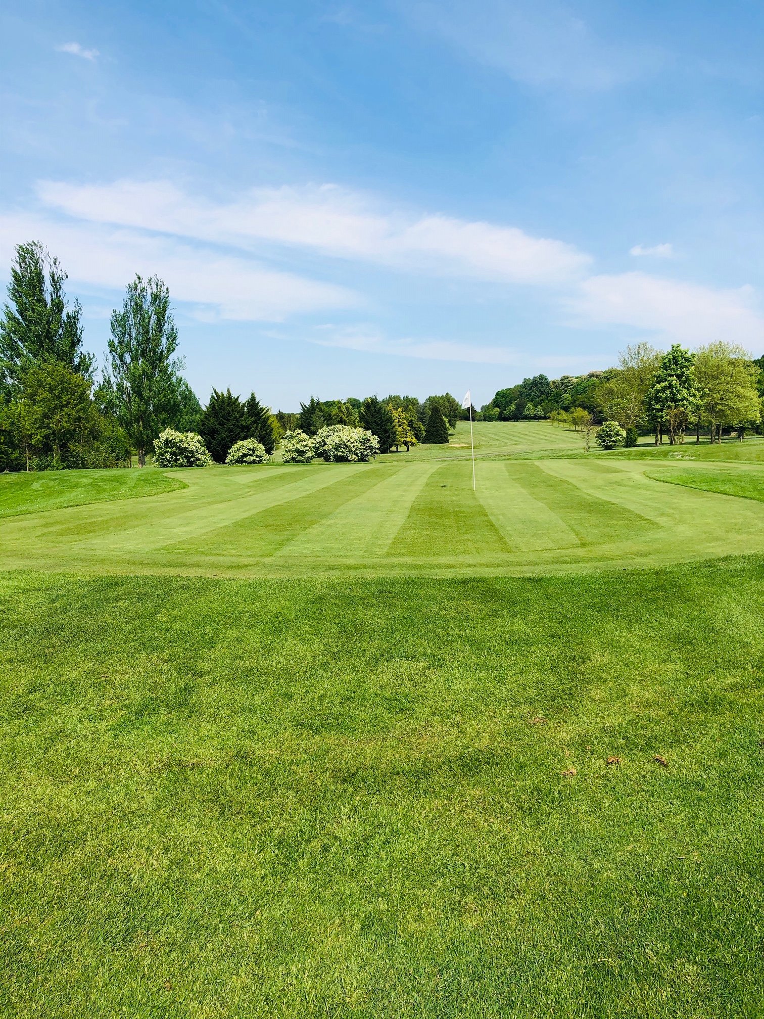 Golf de Lésigny Reveillon - Fairway et green du parcours