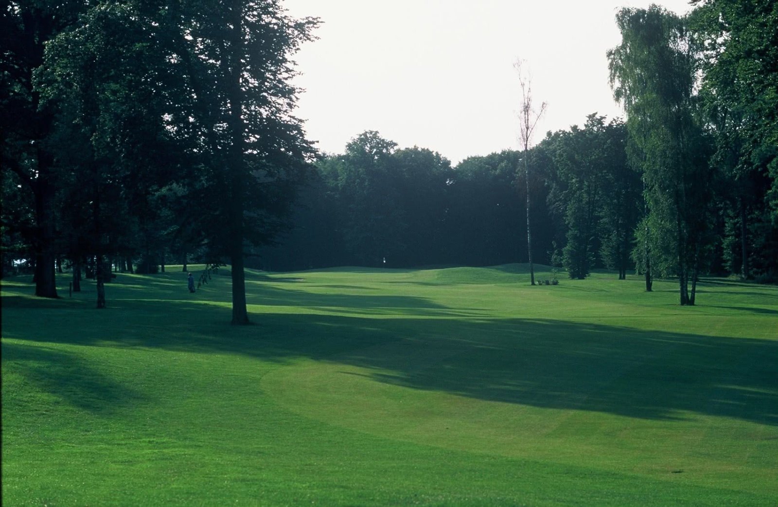 Golf de l’Isle Adam - Green et bunkers
