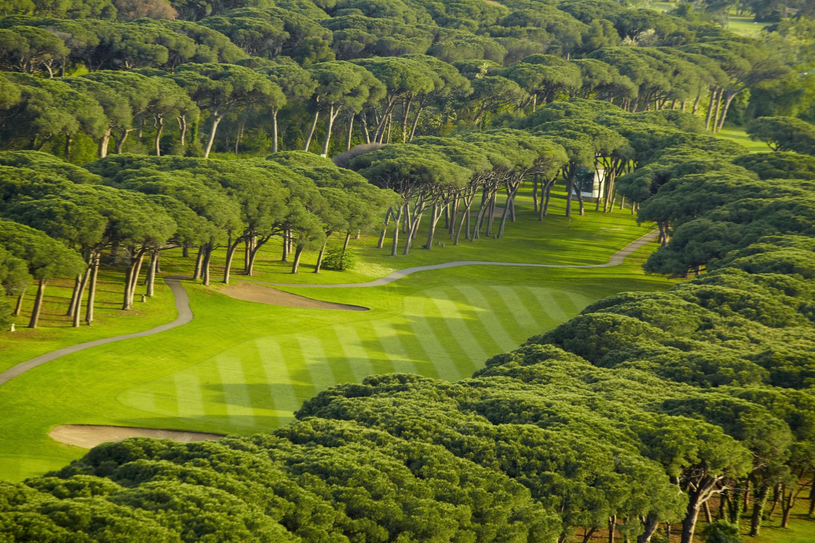 Old Course Cannes Mandelieu - Fairway et green du parcours