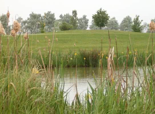 UGolf Mennecy Chevannes - Fairway et green du parcours