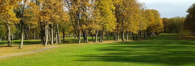 Golf de Mignaloux Beauvoir - Green et bunkers