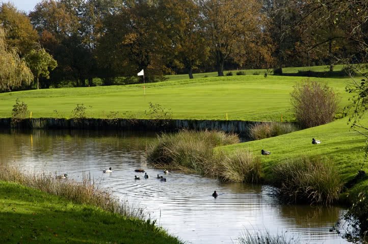 Golf Bluegreen Nantes Erdre - Green et bunkers