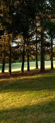 Golf de Toulouse Palmola - Fairway et green du parcours