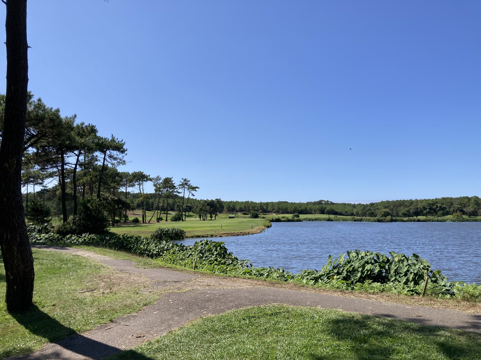 Golf de Pinsolle - Green et bunkers