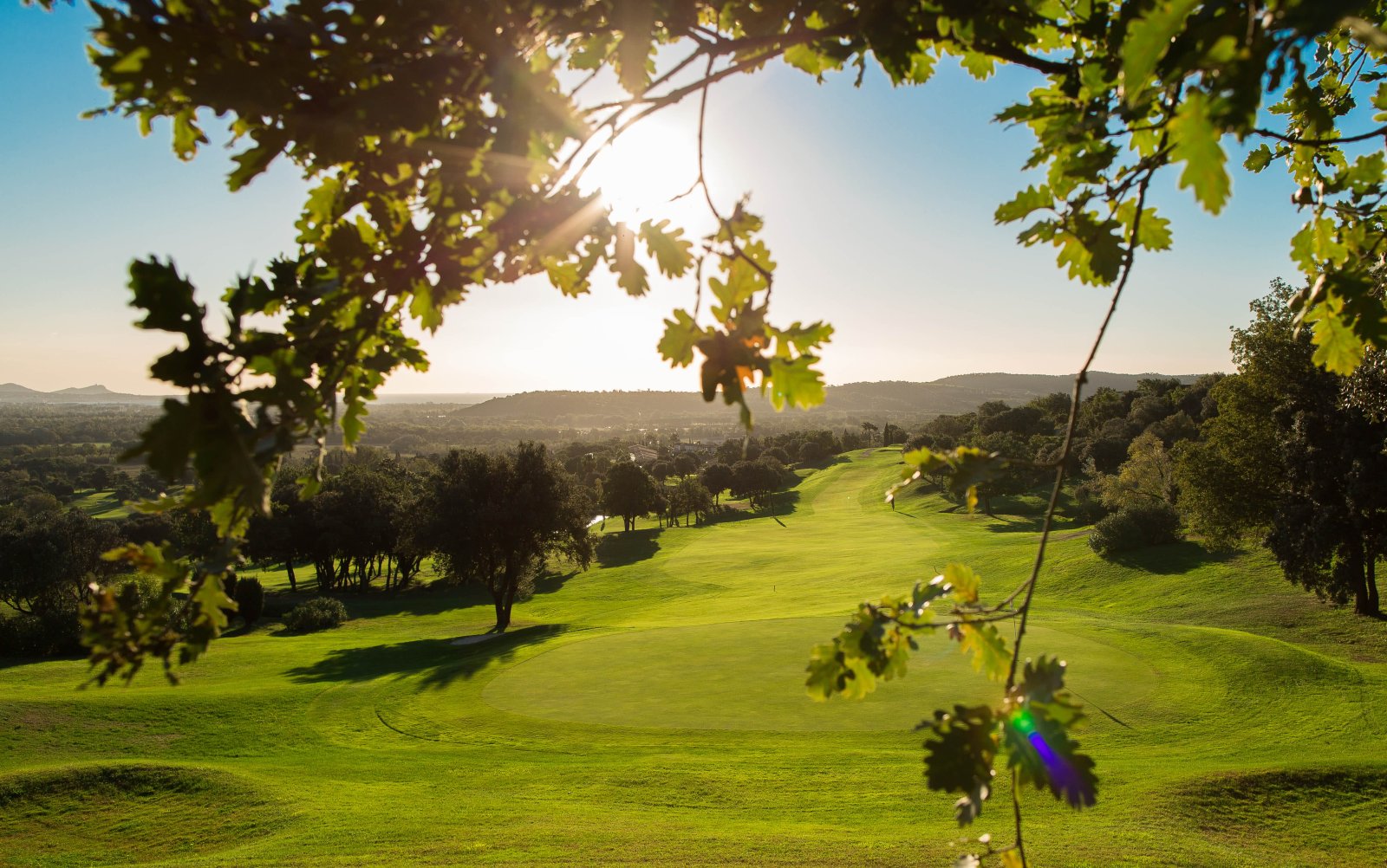 Golf de Roquebrune Resort - Green et bunkers