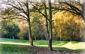 Golf de Rouen Mont saint Aignan - Fairway et green du parcours