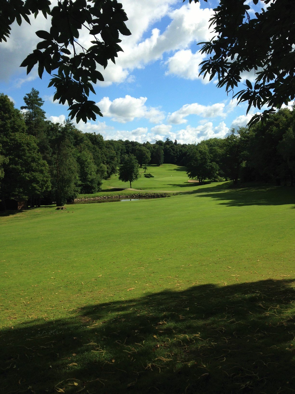 Golf Bluegreen Savenay - Fairway et green du parcours