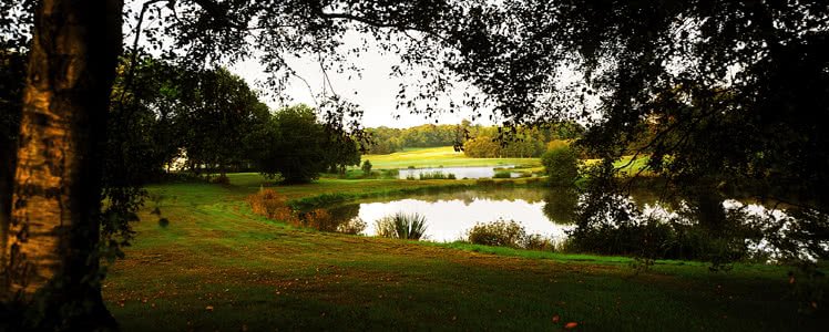 Golf Bluegreen Val Queven - Green et bunkers