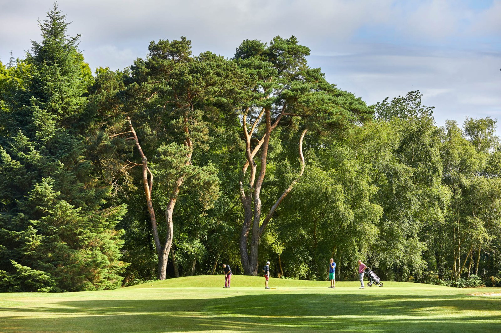Golf de la Baie de saint Brieuc ( ajoncs d’Or) - Fairway et green du parcours